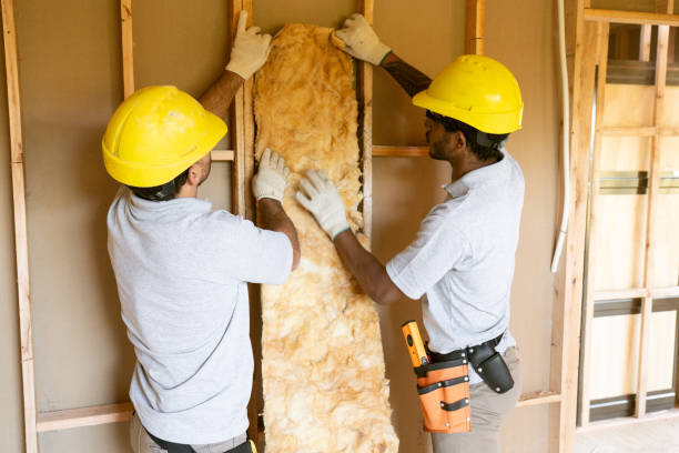 Best Wall Insulation Installation  in Socorro, TX